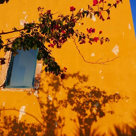 Дом отдыха Elegeo Rockhouse *