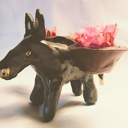 Elegeo Rockhouse Дом отдыха Агия-Марина